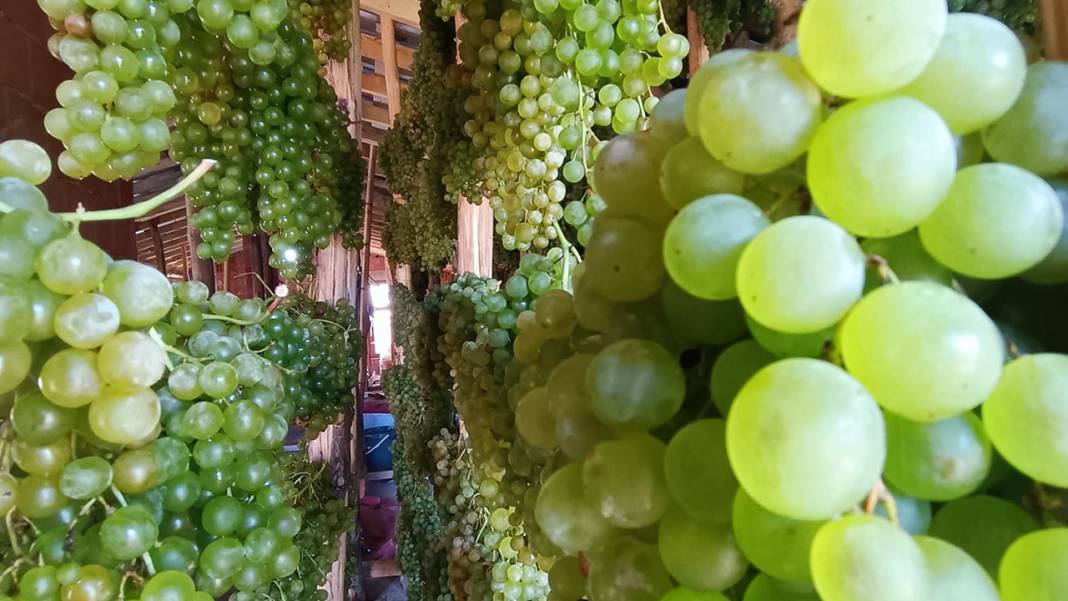 Konya’da yüz yıllardır süren bir gelenek: Üzüme farklı bir lezzet katıyor 9